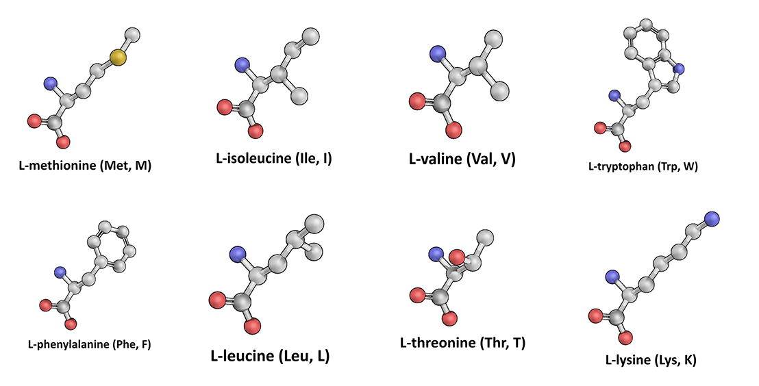 Advanced Amino Formula