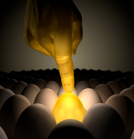 Midas Manifestation System