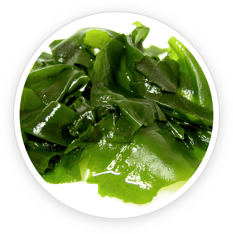 Prostadine